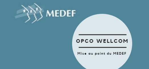 Opco Wellcom : mise au point du Medef